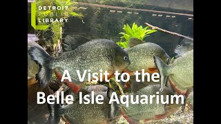 A Visit to the Belle Isle Aquarium