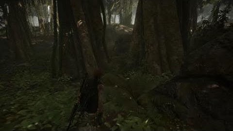 Ghost Recon Wildlands The Hunt: Predator Fight Extreme Difficulty  No HUD Tier ONE