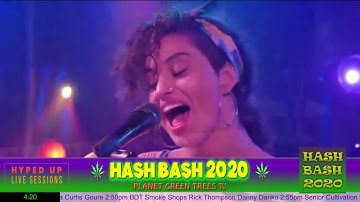 Hash Bash 2020 Jena Irene Asciutto