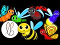 Flyin&#39; Bug Boogie ! Fun music and animation ! Lottie Bunny Sensory