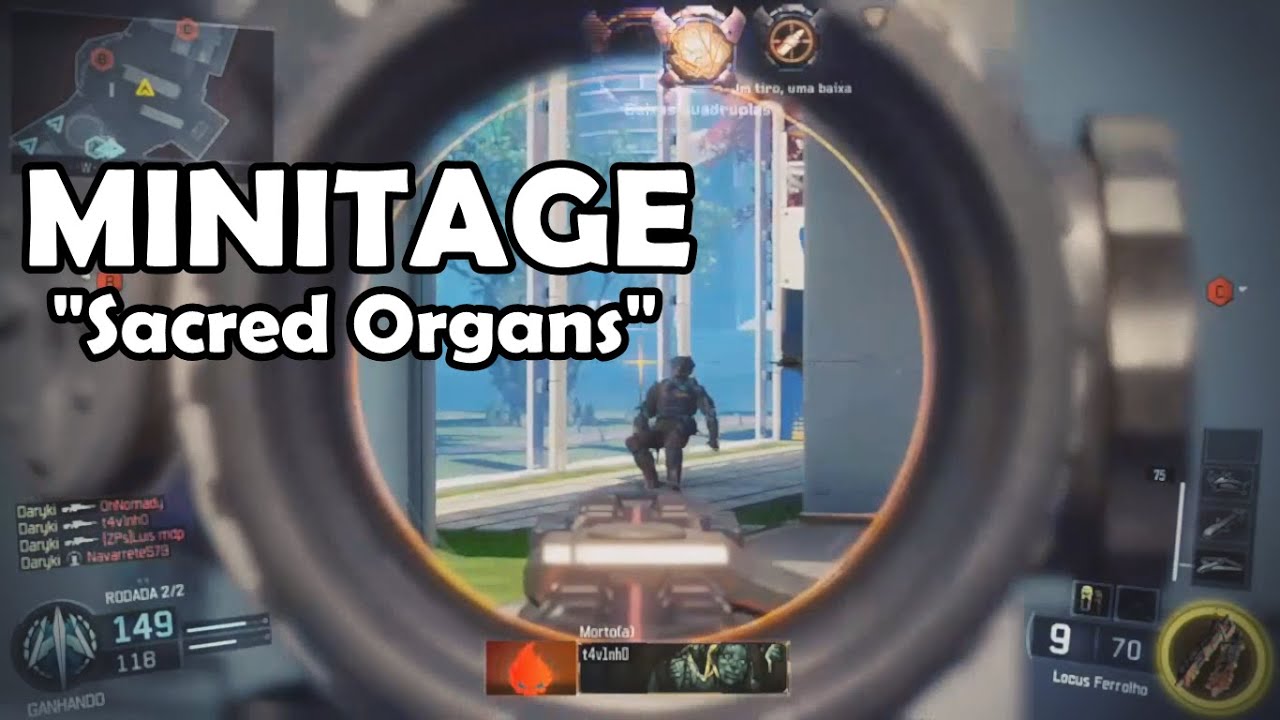 bZ Daryki - Sacred Organs