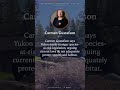 Species-at-risk law: Yukon splits | Yukon | PolicyShift.ca