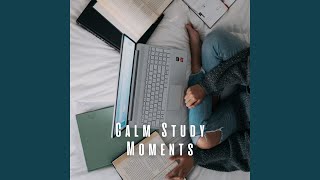 Calming Study Serenade