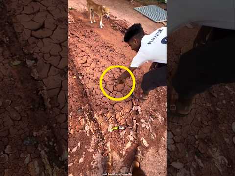 اعتقد الشاب أن لا أحد سيكشف أمره 