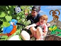 BALLOON ANiMAL ZOO!!  Doctor Adley’s Pet Daycare!  Transfer baby balloons to the backyard routine
