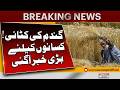 Wheat Harvest Update in Pakistan | Big Relief for Farmers Announced | Latest Agricultural News