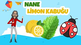 Barış Manço Nane Limon Kabuğu , Bir Tutam Zencefil Çocuk Şarkısı