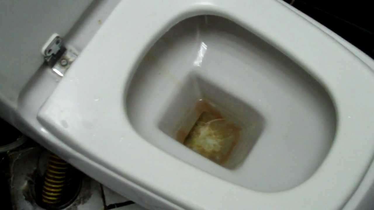 How to use an Egyptian Toilet. African loo. Luxor Mc Donalds. YouTube