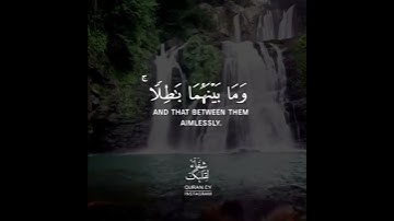 أجمل حالات واتس اب قرآن كريم بصوت علي عبدالسلام اليوسف | صوت يريح القلب❤️😴