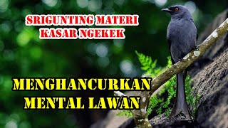 Download lagu MASTERAN SRIGUNTING ABU ABU GACOR FULL MATERI TEMBAKAN KASAR MENGHANCURKAN MENTAL LAWAN