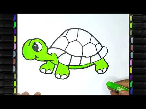 How To Draw Turtles Easy Drawing