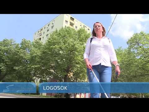 Mostantól lámpa segíti a gyalogosokat az Európa Ligetnél  Szegedi Hírek  2018.05.09.