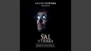 Video thumbnail of "Andrés Cepeda - Besos Usados (Sal de la Tierra)"