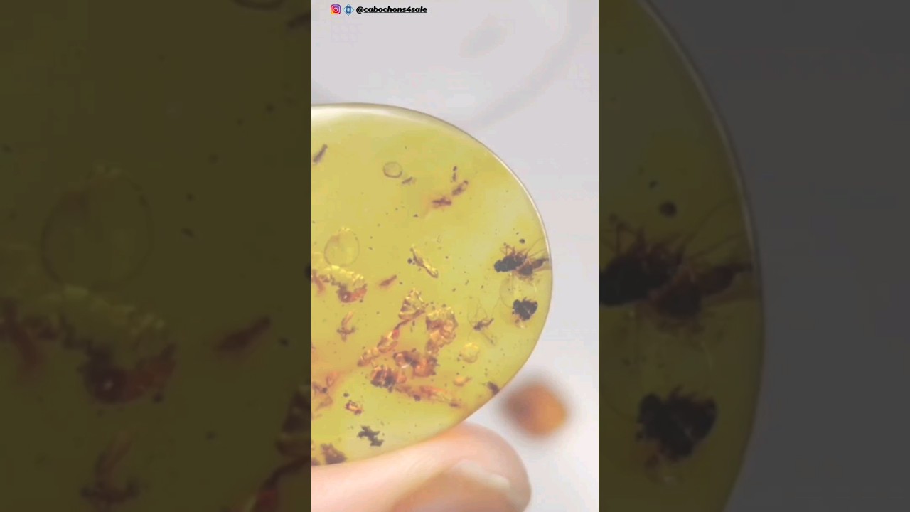 Baltic Amber | Best place to buy cabochon gemstones for jewelry| Wholesale cabochons Киевская обл