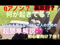 Qアノン？裏政府？超簡単解説