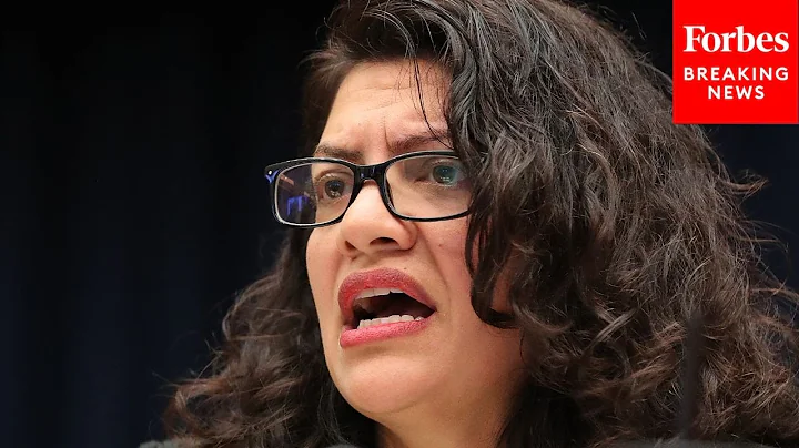 Take The Profit Motive Out: Rashida Tlaib Touts Re...
