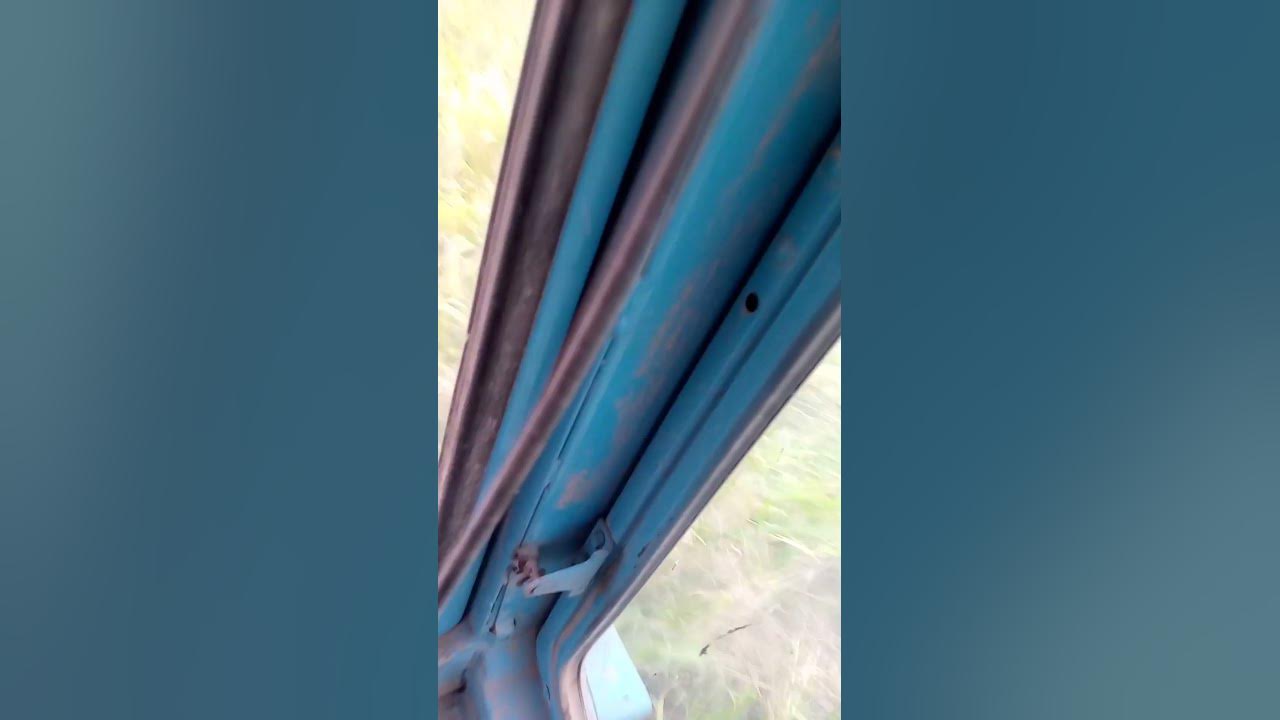 тарактор - YouTube