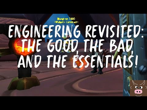 Engineering revisited: the good, the bad, and the essentials!