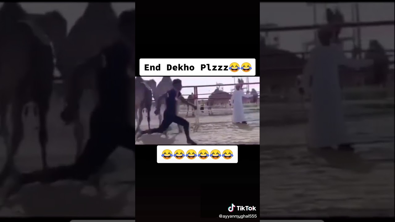 Funny short clip 