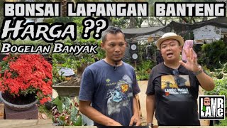BONSAI BANYAK BANGET DI JUAL Di LAPANGAN BANTENG