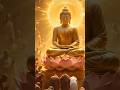 Buddha in world#buddha#srilanka#shorts#youtubeshorts