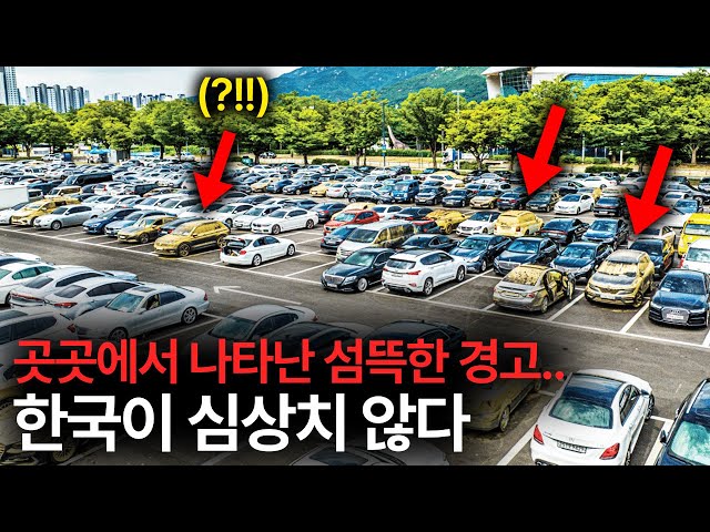 세계보다 2배 빨랐어요 현재 한국 곳곳에서 나타난 '이상신호' 5가지 ㄷㄷ (6차 대멸종 가능성?) class=