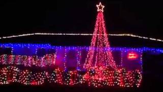 Mega tree 2011