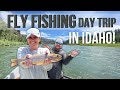 Full Day Guided FLY FISHING TOUR on the Southfork in Idaho!
