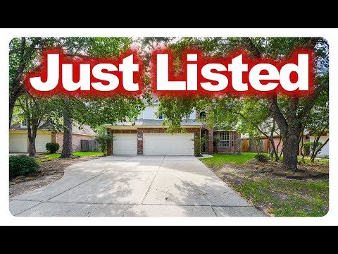 87 E Evangeline Oaks Dr, The Woodlands, TX home video tour