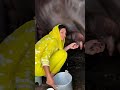 #alightmotion
