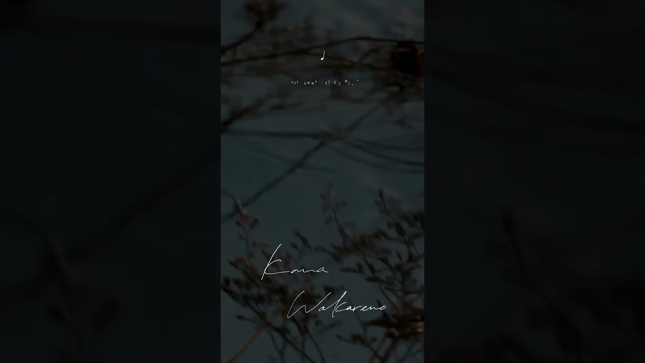 Kana Wakareno - 別野加奈｜音楽家