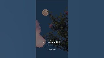هو الذي يريكم آياته وينزل لكم من السماء رزقا #القران #اكسبلور #المصحف #حالات_واتس #راحة_نفسية #خطبه