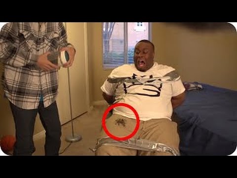 funny-pranks-spider-pranks-funny-videos-funny-pranks-compilation