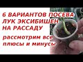 Рассадный марафон | Шесть вариантов посева семян лука #Эксибишен на рассаду, обсудим плюсы и минусы