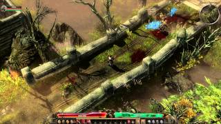 Another funny Grim Dawn bug