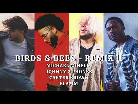Birds & Bees - Remix ll ft. Carter Brown & Flamm
