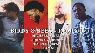 Birds & Bees - Remix ll ft. Carter Brown & Flamm