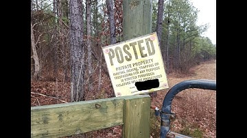 Fifteen Minutes in the Forest: Boundary Lines