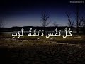 وجائت سكرة الموت بالحق الشيخ ياسر الدوسري كل نفس دائقة الموت وجائت سكرة الموت بالحق الشيخ ياسر الدوسري كل نفس دائقة الموت