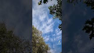Небо и облака. Time-lapse