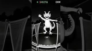 Chimera Caught Jumping on Backyard Trampoline at Night