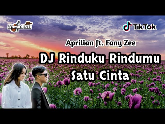 DJ REMIX RINDUKU RINDUMU SATU CINTA (APRILIAN FT. FANY ZEE) - TERBARU FULL BASS 2K21 class=