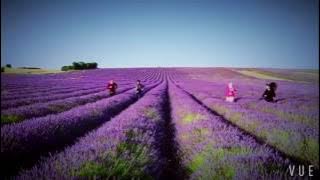 Drama Kelip-kelip Kota London TV3 Full Episode