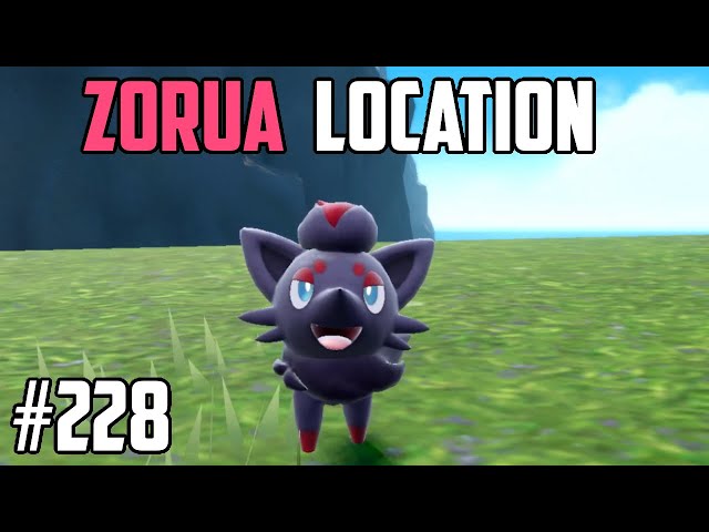 How to Catch Zorua - Pokémon Scarlet & Violet class=