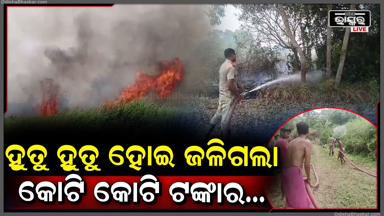 ୫୦ ଏକର ରୁ ଉର୍ଦ୍ଧ ଜମିରେ ଲାଗିଲା ନିଆଁ... ପୁରା ଗାଁ ହୋଇଯାଇଛି ଧୂଆଁମୟ...