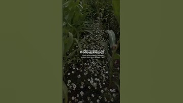  الَّذِينَ صَبَرُوا وَعَلَى رَبِّهِمْ يَتَوَكَّلُونَ ـ  سورة العنكبوت
