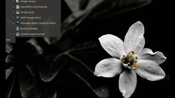 Ubuntu Lucid Lynx 10.04 Slowed down by recordmydesktop