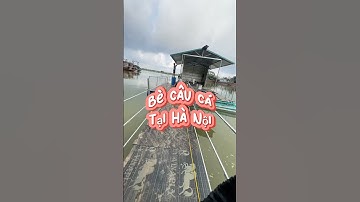Bè Câu Cá Giữa Sông Hồng - Chủ bè nhiệt tình hết cỡ