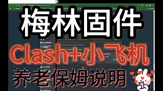 【路由器玩法—梅林固件】2025华硕路由器 梅林固件 clash 小飞机 安装说明 #机场 #vpn #翻墙 #华硕 #梅林   #clash
