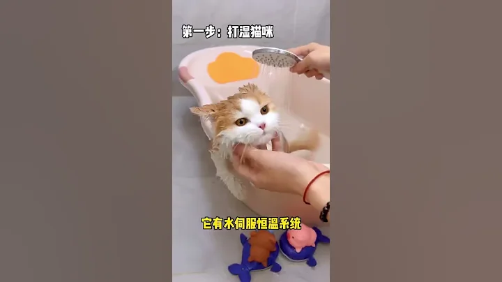 【小奶貓成長記】話說用貓薄荷洗澡 是不是威力過大了一些 - 天天要聞